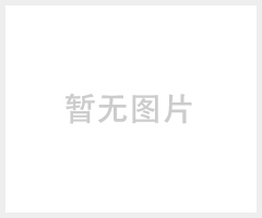 斯因特SYT5-40燒結(jié)濾芯